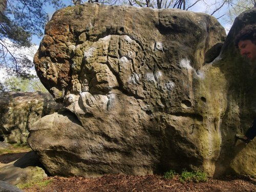 Image of IMG_20220422_163958.jpg